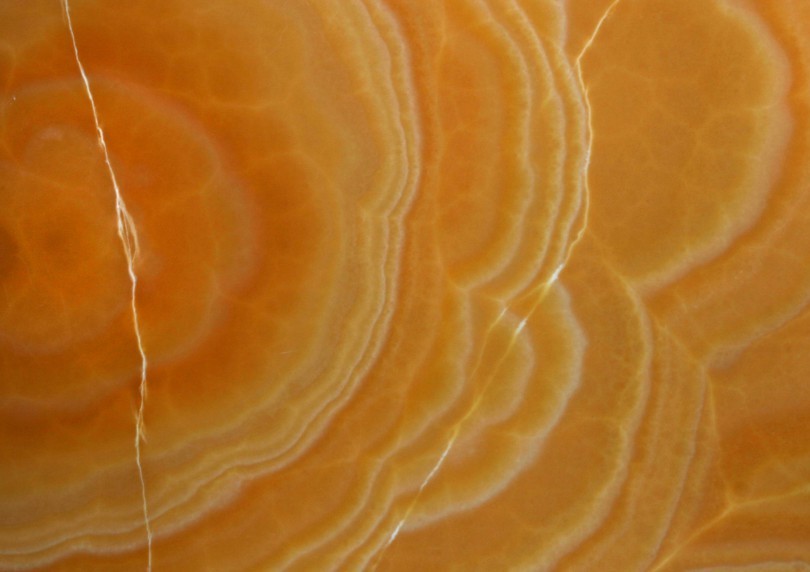 Onyx Orange