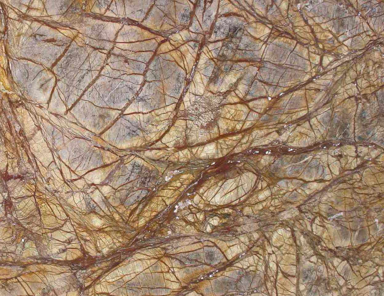 Bidasar Brown