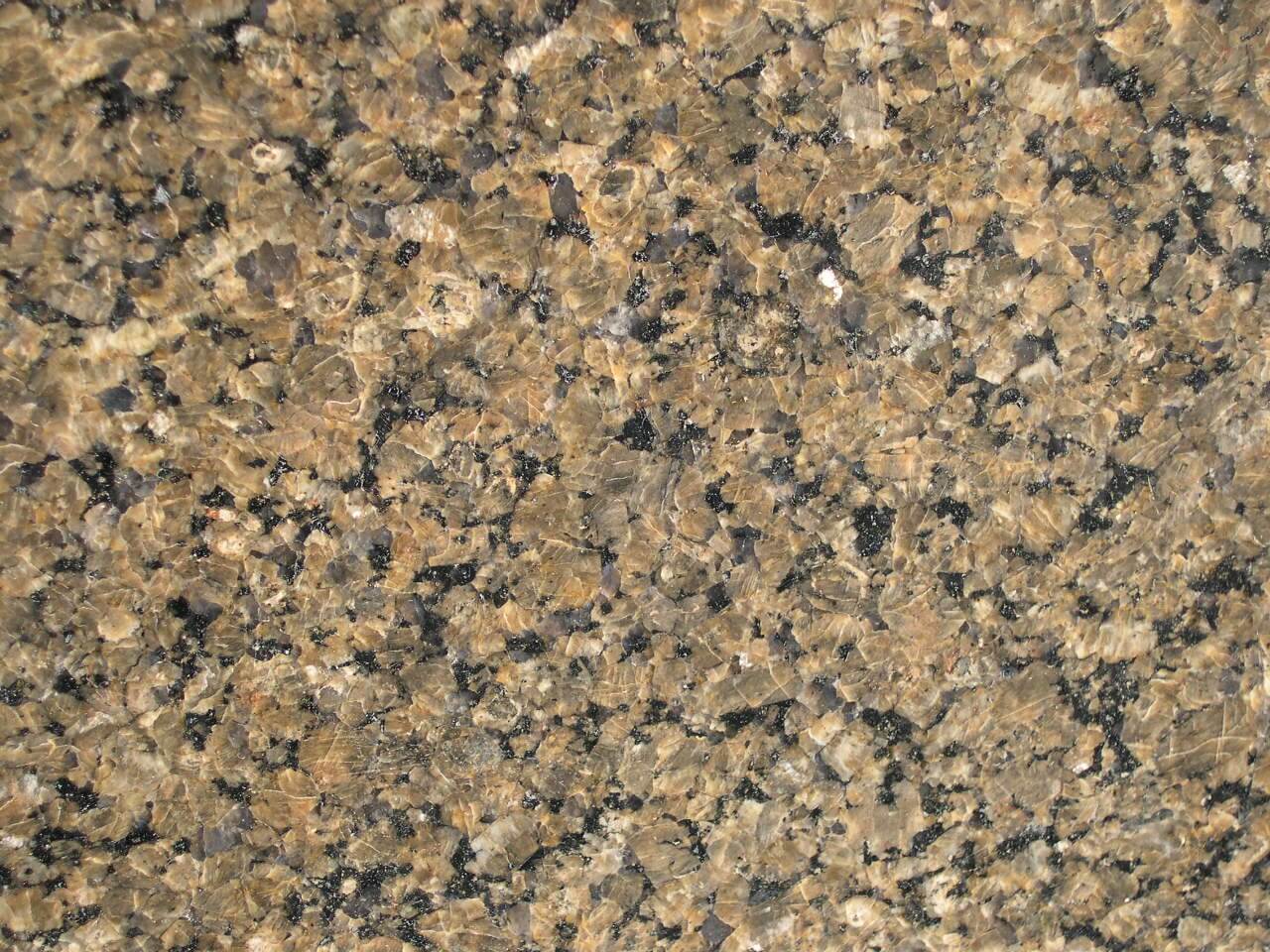 Tropical Brown