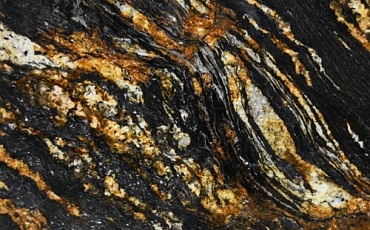 Black Taurus