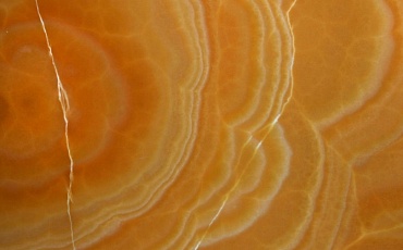 Onyx Orange
