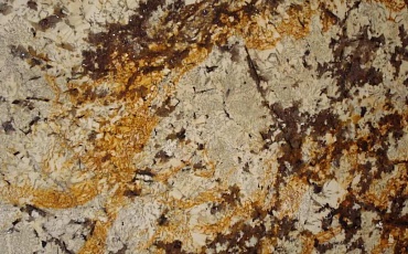 Delicatus