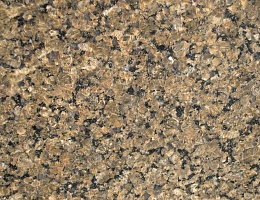 Tropical Brown