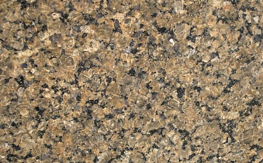 Tropical Brown