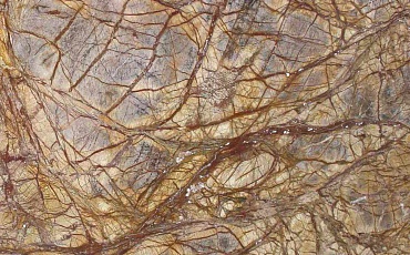 Bidasar Brown
