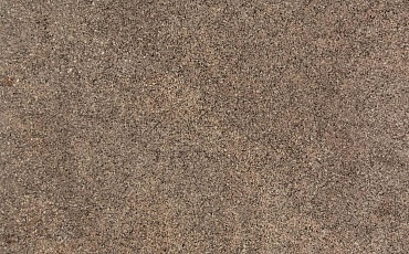 Desert Brown
