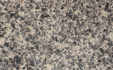 Leopard Skin